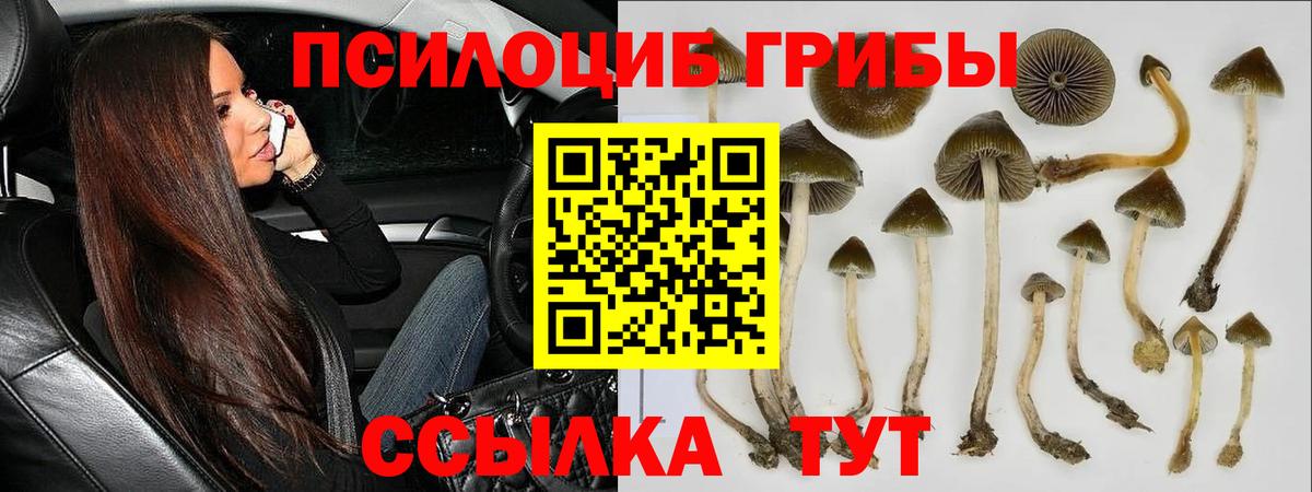 Псилоцибиновые грибы мухоморы Москва